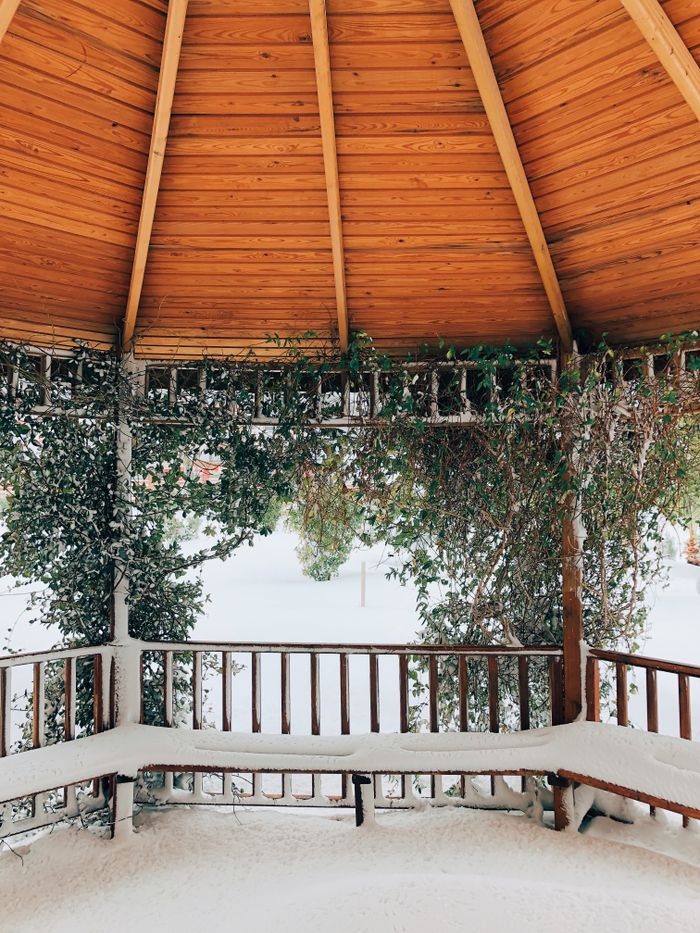 our-story Serene gazebo with wooden ceiling, covered in snow, surrounded by lush greenery.