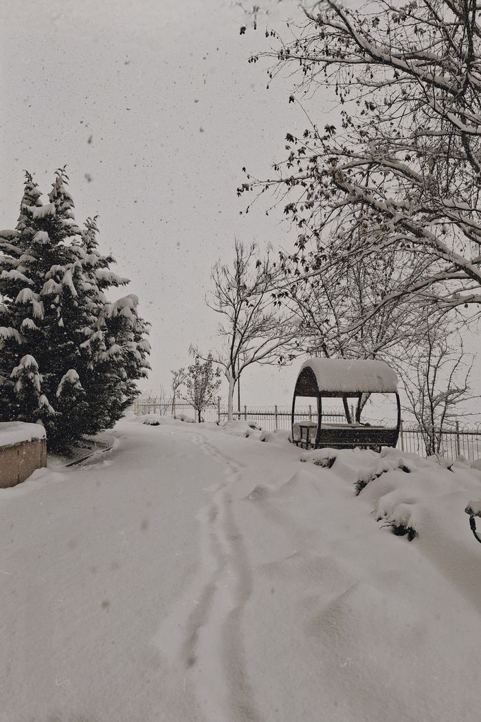 services-05 A tranquil snowy scene in Düzce with snow-covered trees and path.