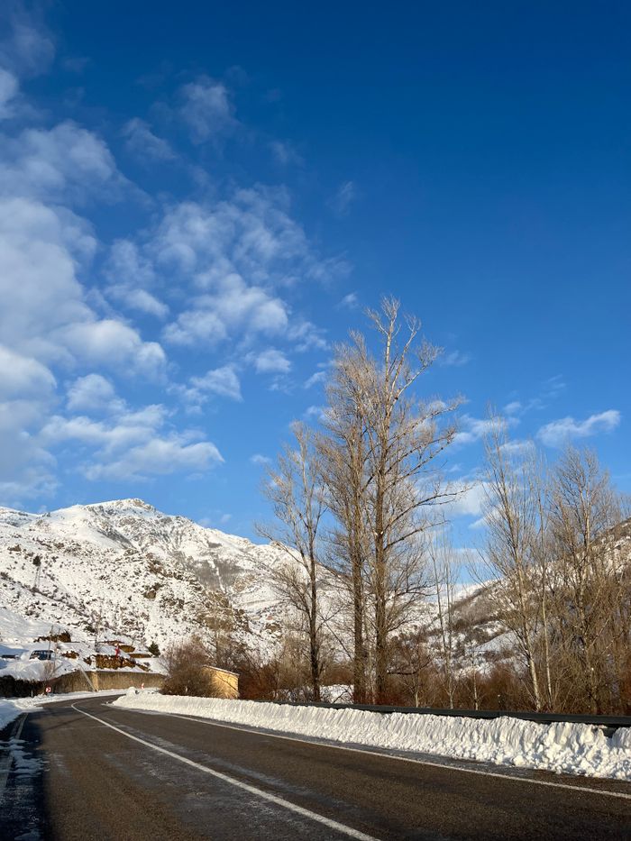 who-we-are A serene winter scene with a snowy mountain road flanked by bare trees and a vibrant blue sky.