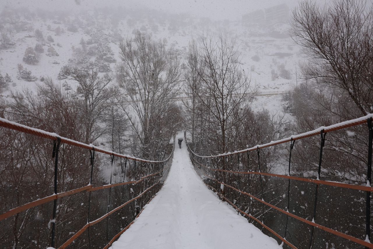 services-03 A serene snowy scene featuring a suspension bridge in a winter forest environment.